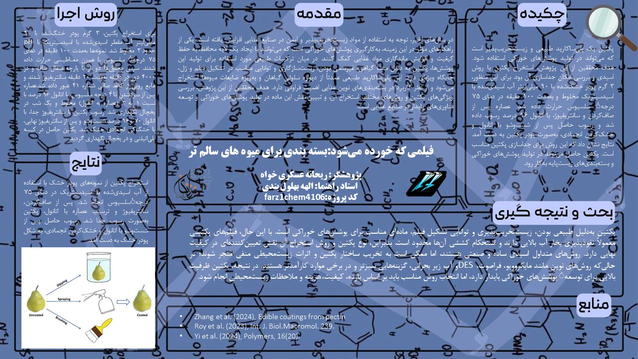 پوستر پروژه